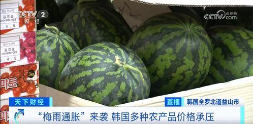 汾阳吃瓜最新事件爆料,揭秘背后惊人真相  第2张